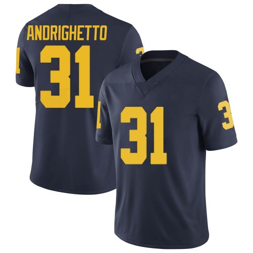 Lucas Andrighetto Michigan Wolverines Men's NCAA #31 Navy Limited Brand Jordan College Stitched Football Jersey UIP1154HG